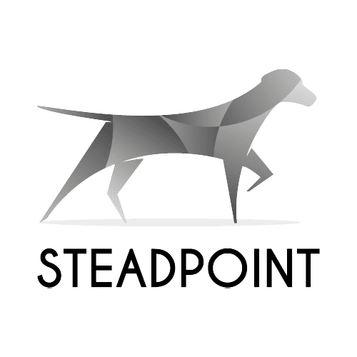 Steadpoint Group